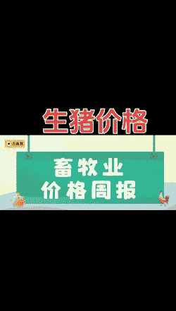 全国生猪仔价格