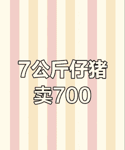 七十斤猪仔价格