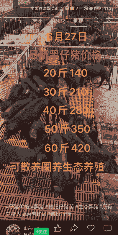 通辽黑猪仔猪价格