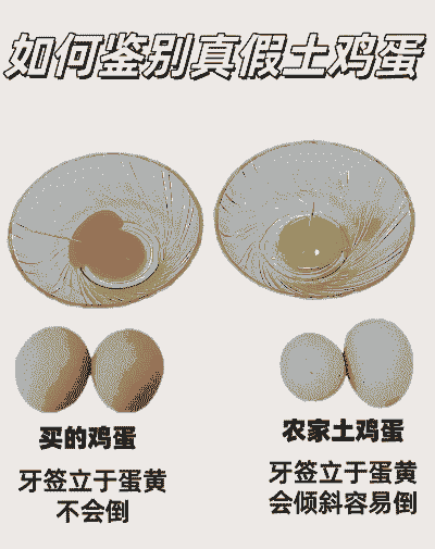 土鸡蛋和养殖场的蛋区别