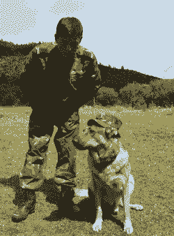 养殖土鸡的兵哥哥是谁啊