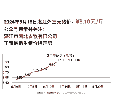 广东湛江小猪仔价格