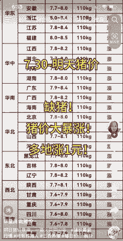 云南猪仔价格表