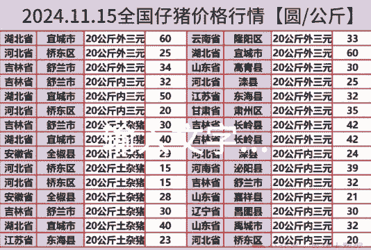 今曰小猪仔价格