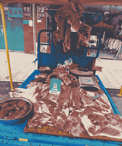 贵州土杂猪仔价格