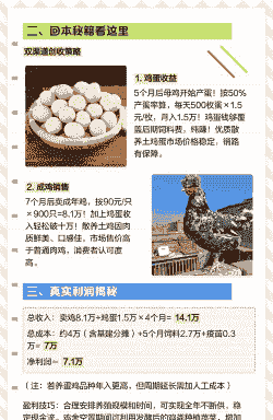 养殖土鸡一只能赚多少钱
