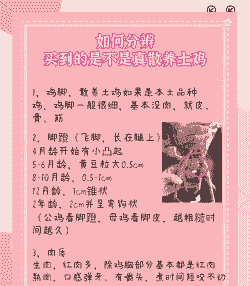 土鸡的养殖周期一般是多长时间