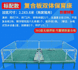 贵州猪仔保育床行情价格