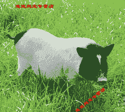 香猪仔的价格是多少