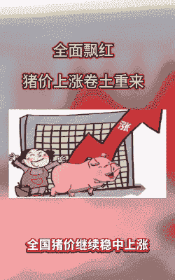 猪仔价格上涨了吗