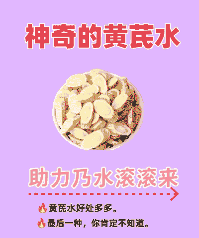 母猪产后喝黄芪多糖