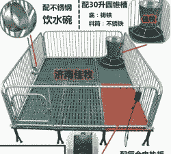 安徽猪仔保育床行情价格