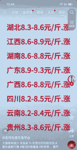 云南卖猪仔价格表