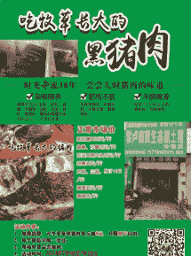 云南小黑猪仔肉价格