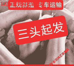 一头小猪仔的价格