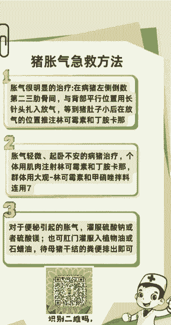 怎么预防母猪产后胀气