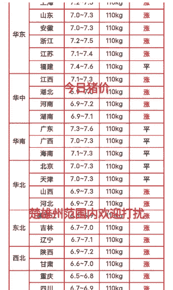 楚雄猪仔价格多少一斤