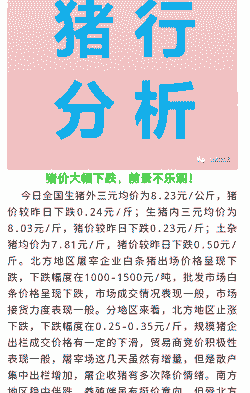 三十至四十斤小猪仔价格