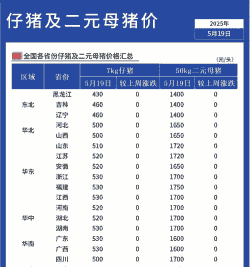 二元母猪猪仔价格