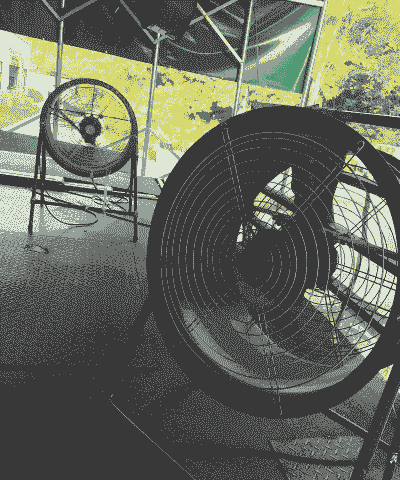 母猪产后吹电扇行吗