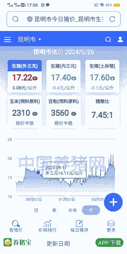 云南省临沧市小猪仔价格