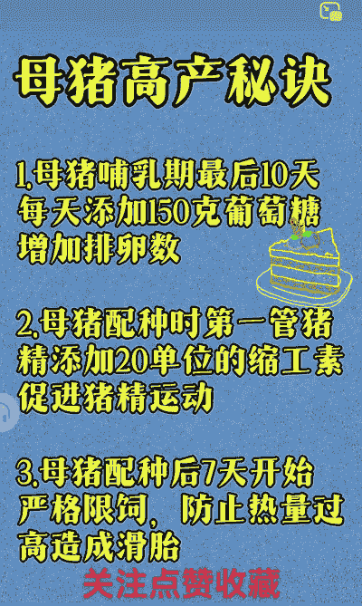 母猪产后怎么补能量
