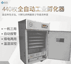鸡苗孵化机价格