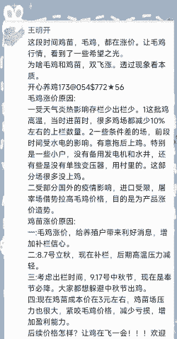 为什么鸡苗价格上涨了