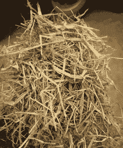 牛羊干草什么价格