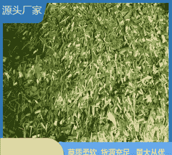 牛羊干牧草价格