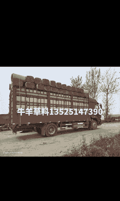 牛羊秸秆草料价格