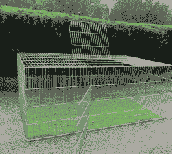 鸡苗育雏笼价格