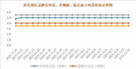 陕西鸡苗行情价格