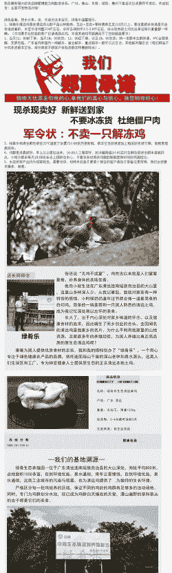 清远鸡苗什么价格