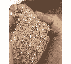 牛羊专用麸皮价格多少