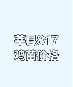 鸡苗价格哪里查询