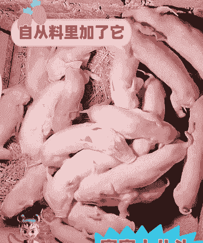 母猪产后多少天产仔