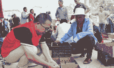 扶贫送鸡苗价格