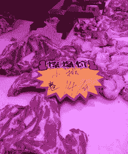 邢台牛羊猪肉价格