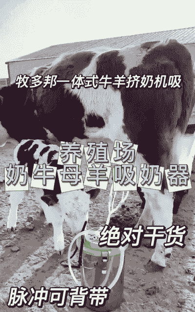 牛羊恒温喂奶机价格