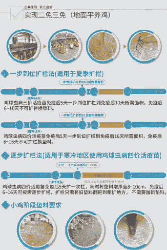 鸡苗接种疫苗价格