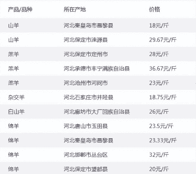 河北省牛羊价格