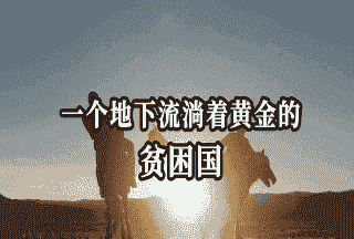 进口蒙古熟牛羊价格走势