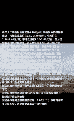 山东正宗本地鸡苗价格