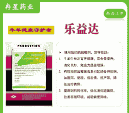 内蒙古活牛羊价格