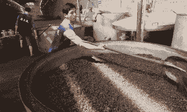 养黑水鸡苗的价格