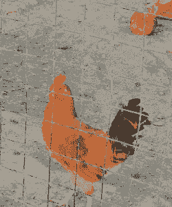 南充淮南王鸡苗价格