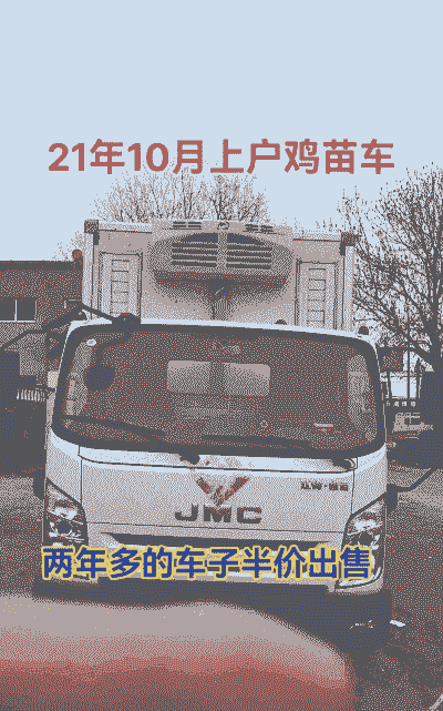 孝感恒温鸡苗车价格