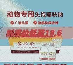 母猪产后打几瓶头孢