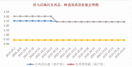 正宗驻马店鸡苗价格